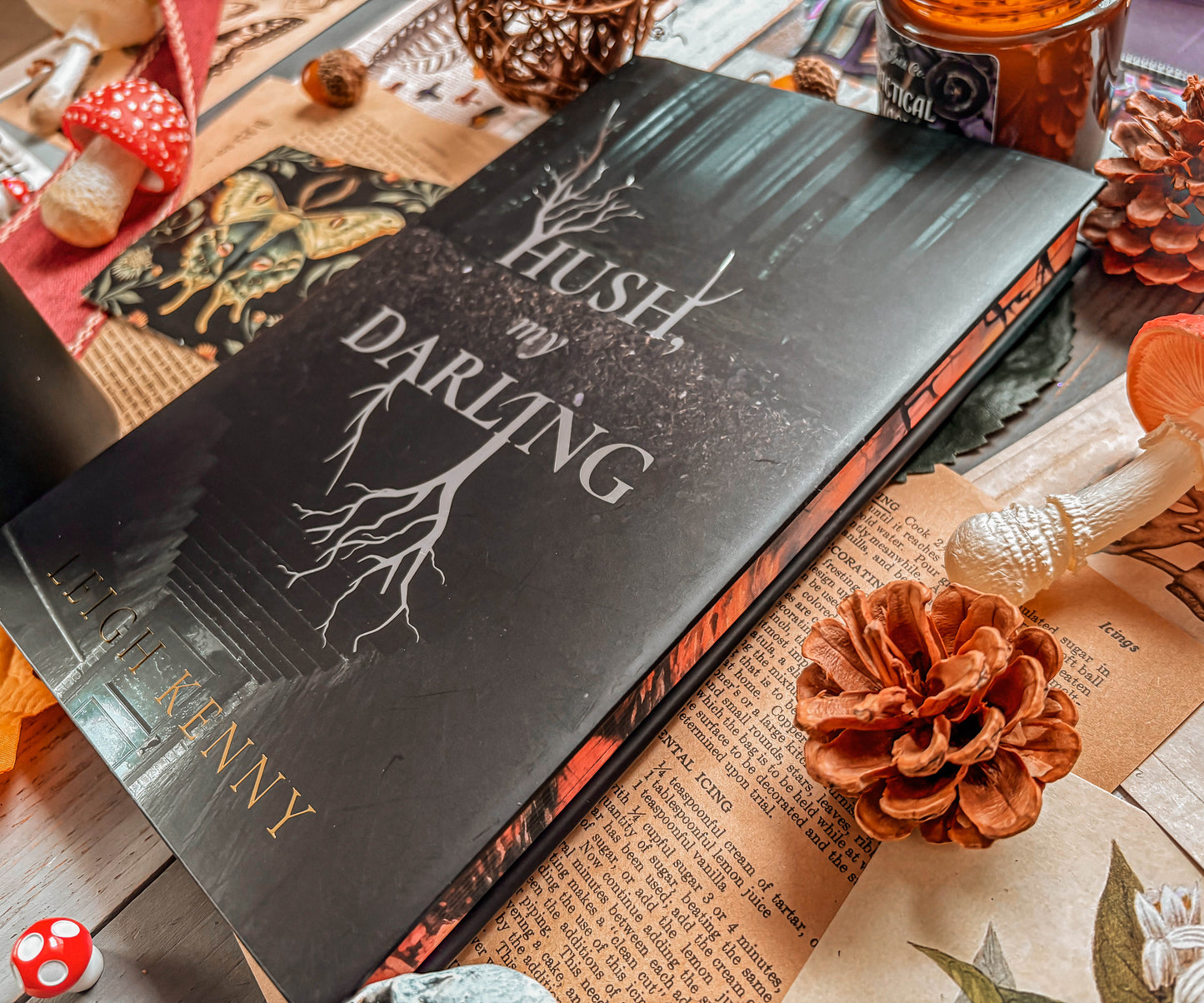 Hush, My Darling by Leigh Kenny (Reprint)