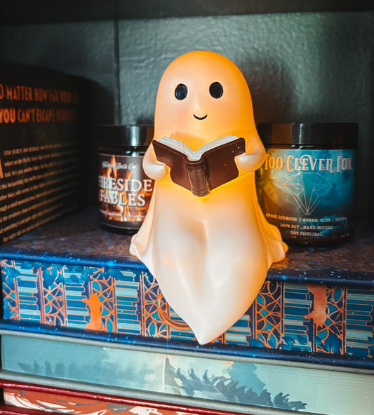 Light-up Reading Ghost Shelf Decoration