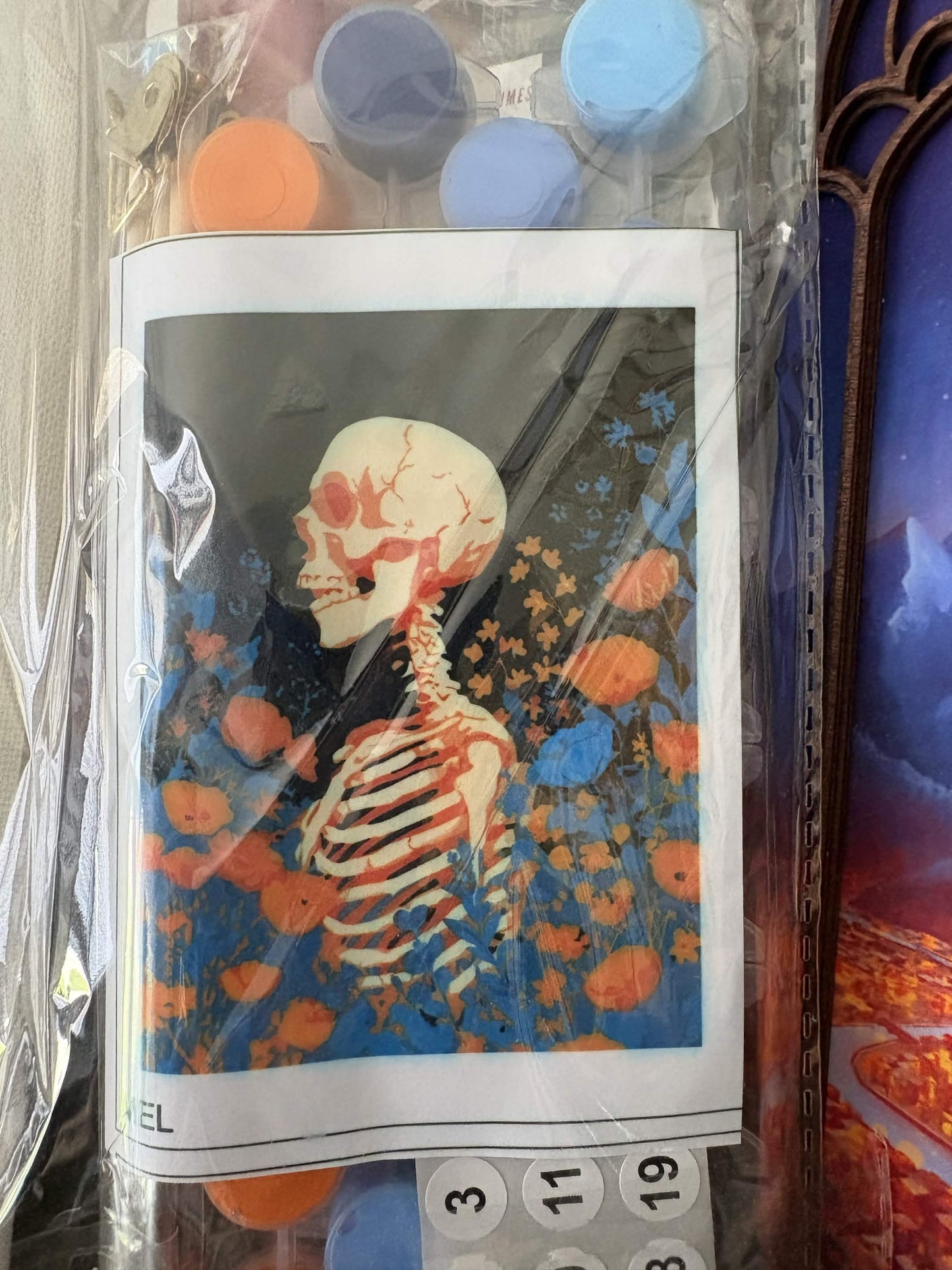 Skeleton Paint by Number Kit