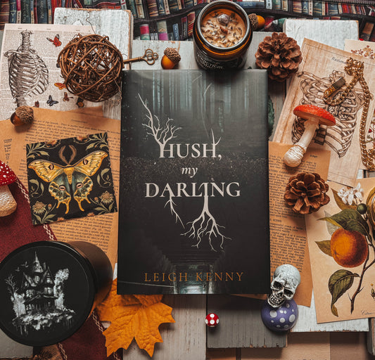 Hush, My Darling by Leigh Kenny (Reprint)