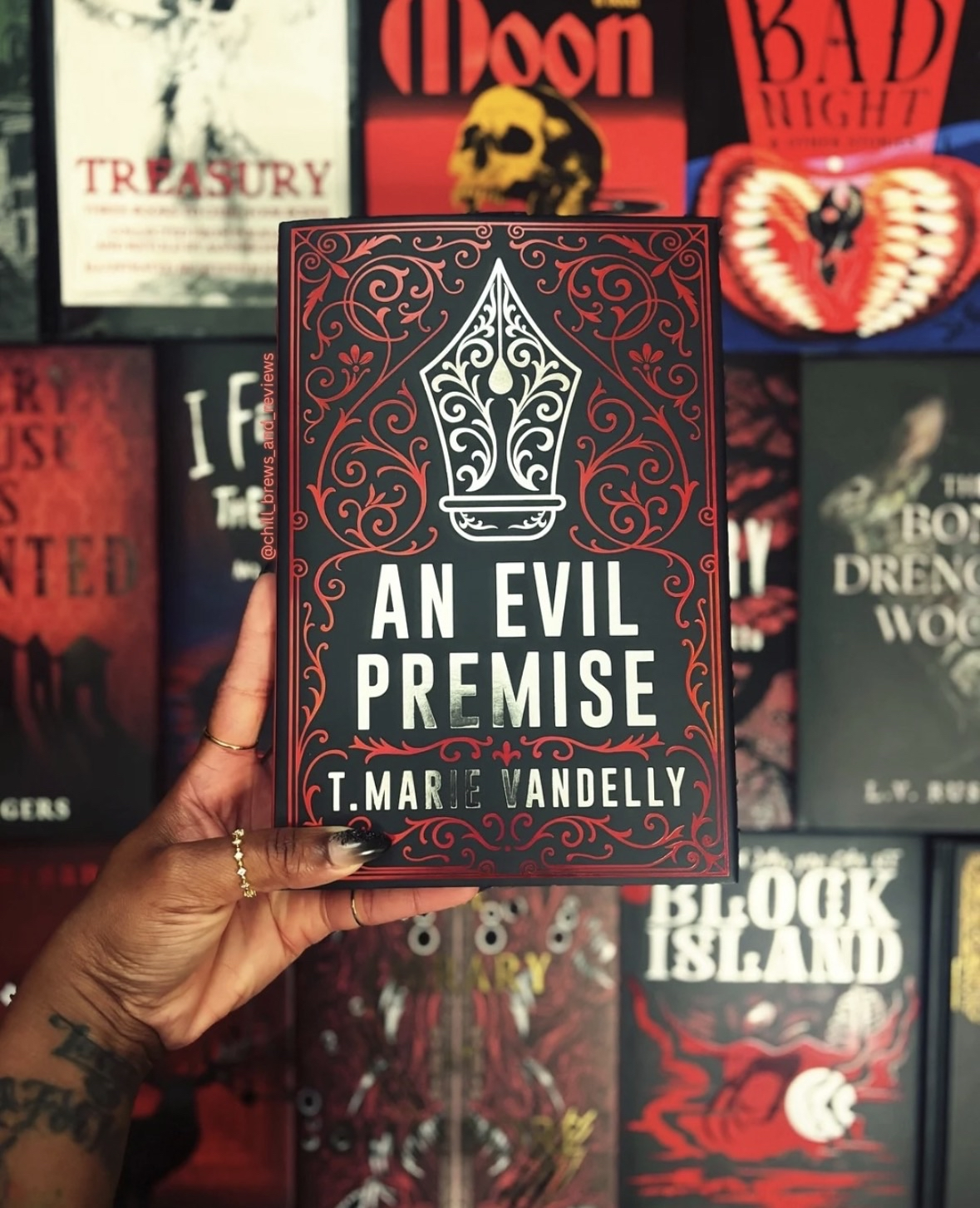 An Evil Premise by T Marie Vandelly