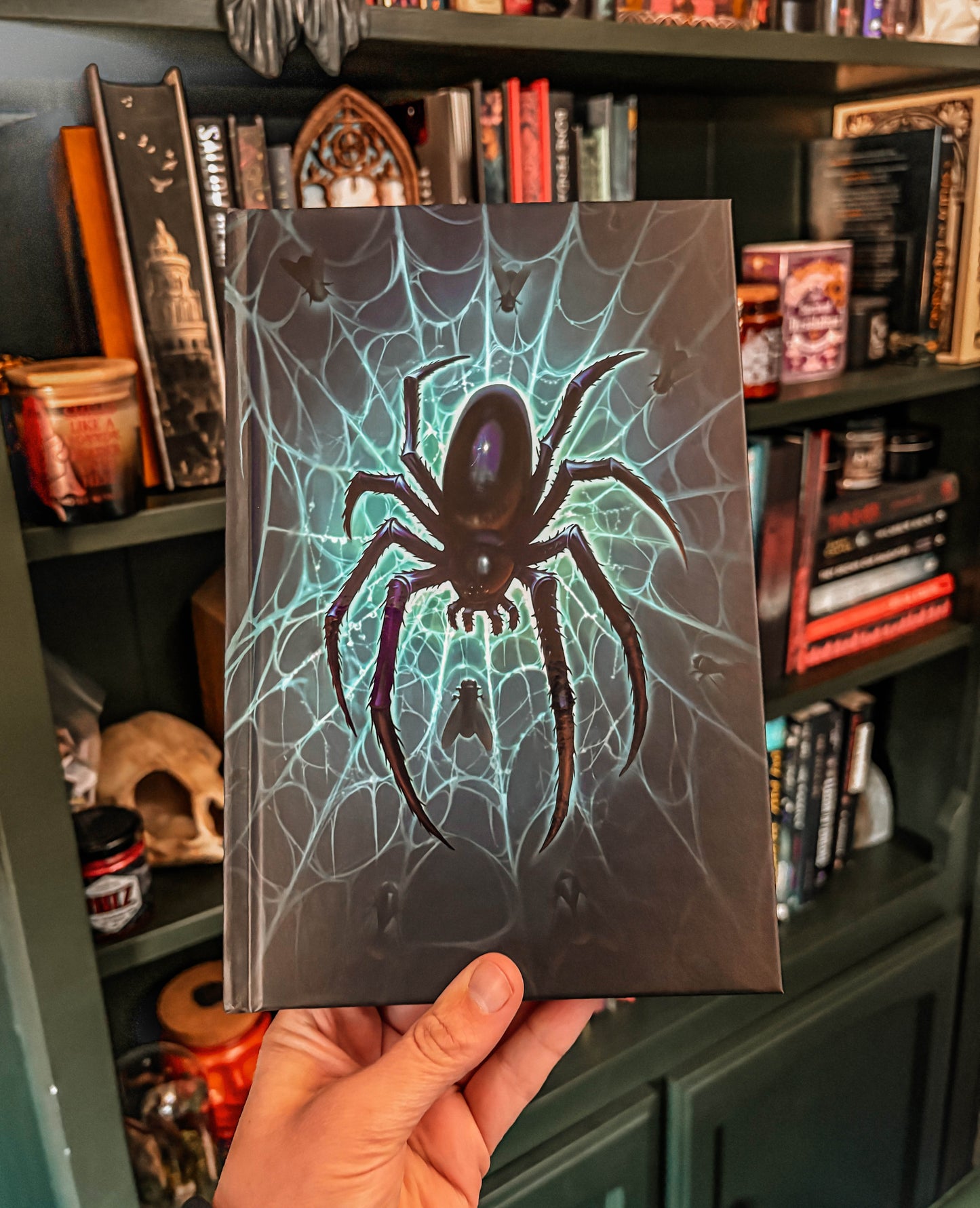 Spider to the Fly by J.H. Markert