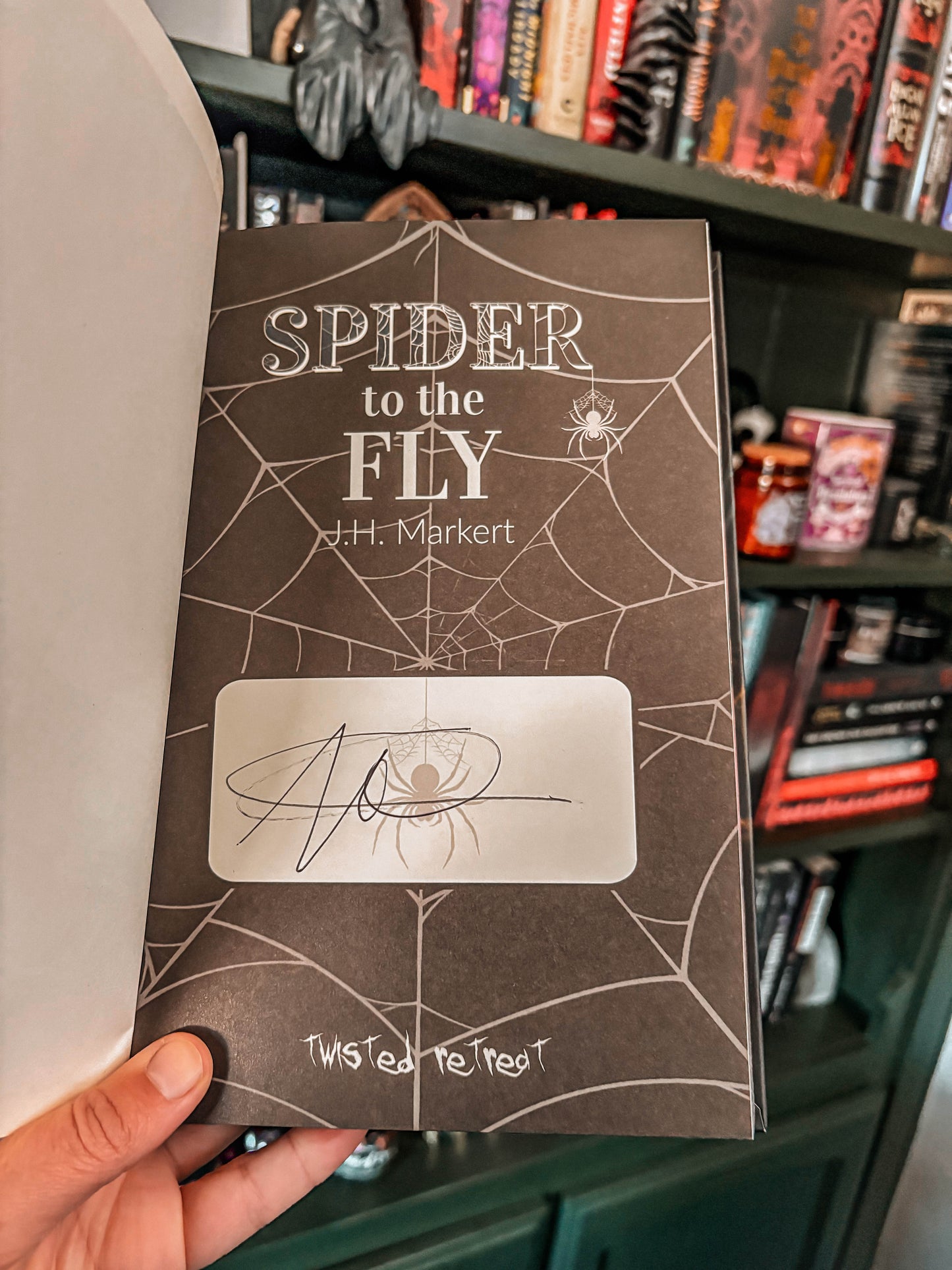 Spider to the Fly by J.H. Markert