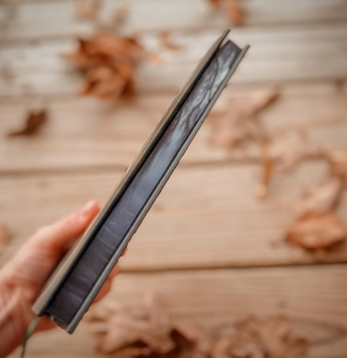 Wildefell by H.B. Diaz